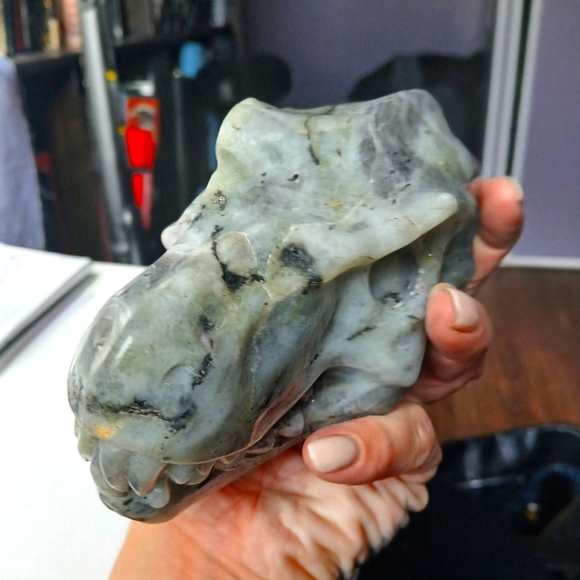 LARGE LABRADORITE DINOSAUR CRYSTAL SKULL - Picture 1 of 6